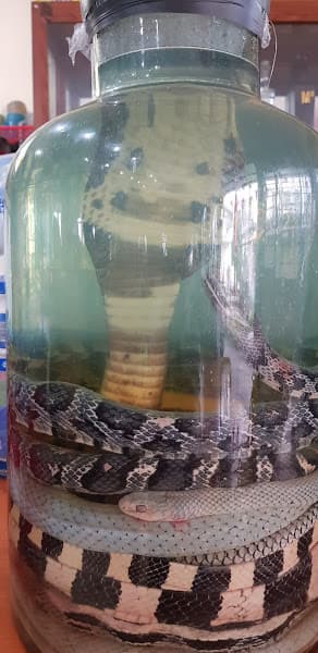 Hình ảnh Nhà Hàng Dương Trâm Gang Thép - 5