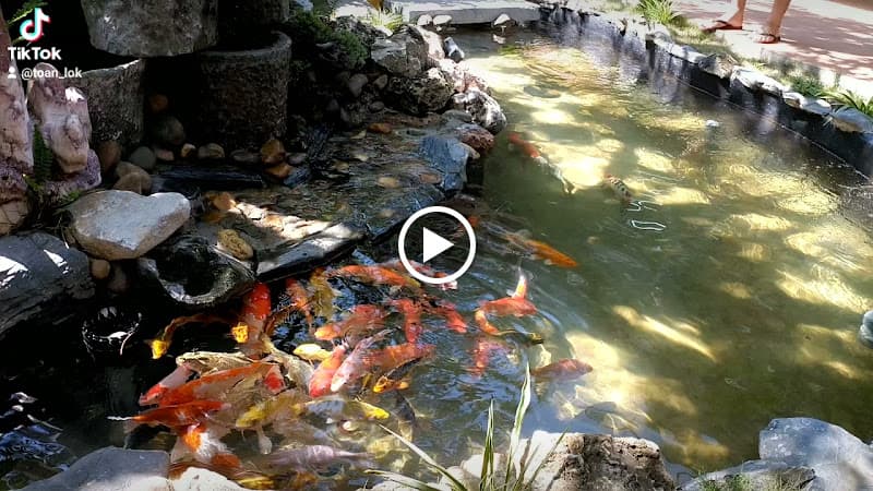 Hình ảnh Cafe Phố Hội - 6