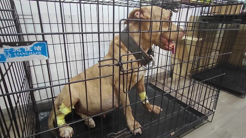 Hình ảnh Phòng khám thú y PT VET - 5