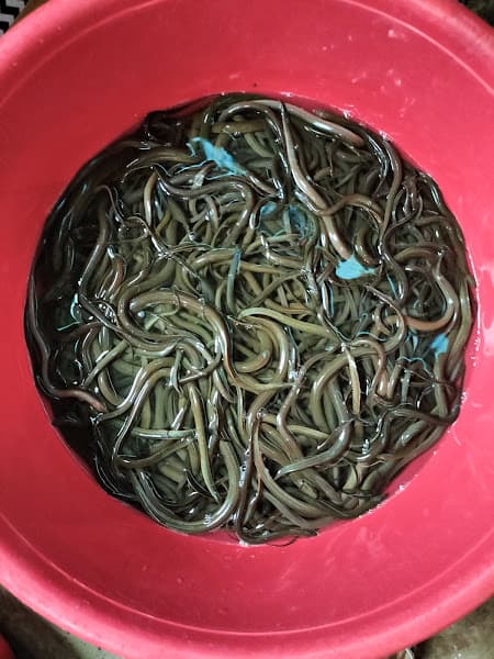 Hình ảnh Súp lươn xứ nghên MINH CHÂU - 9