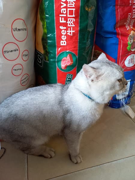 Hình ảnh Happy Pet - 3