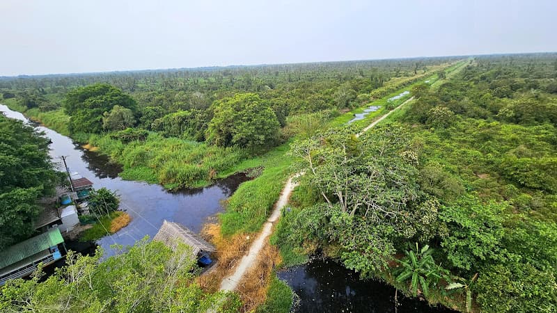 Ảnh bìa Vườn Quốc Gia U Minh Hạ