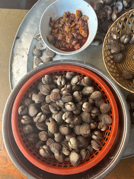 Hình ảnh Cháo Lươn - Sò Huyết Mệ Mận - 9