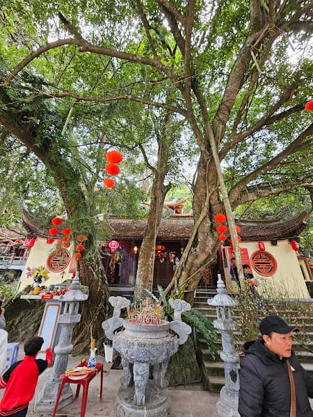 Hình ảnh Đền Cấm-Di Tích Lịch Sử Văn Hoá - 3