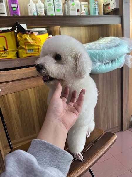 Hình ảnh Bệnh Viện Thú Y PetHealth Thanh Hoá - 3