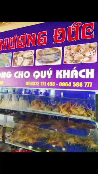 Hình ảnh NHÀ HÀNG PHƯƠNG ĐỨC - 3