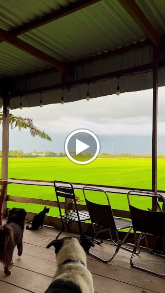 Hình ảnh Tiệm cà phê Trái Bơ - 2