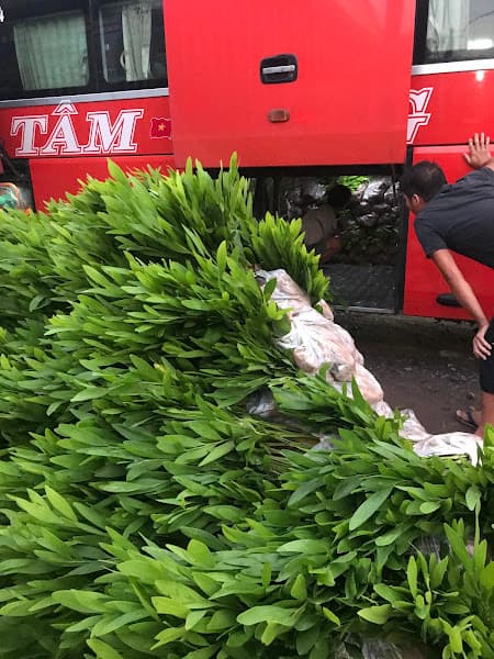 Hình ảnh Siêu thị Bách hóa XANH Đường 3/2 - 2