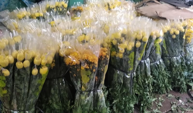 Hình ảnh Chuyên Cung Cấp Sỉ & Lẻ Các Loại Trái Cây - 3