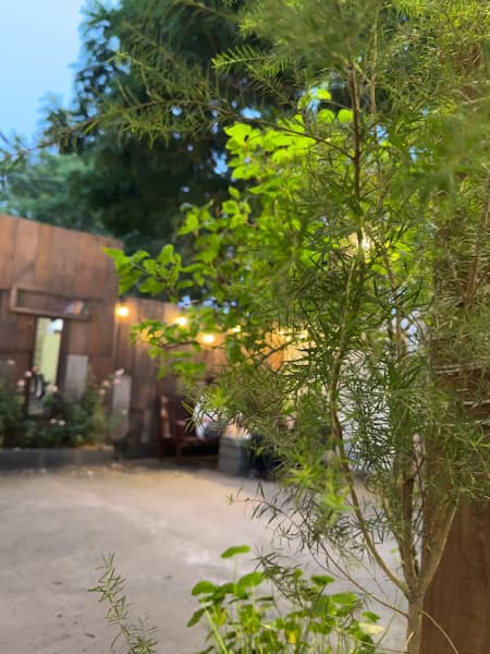 Hình ảnh Tiệm cà hê - 3