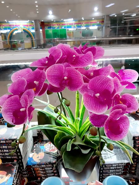 Hình ảnh Siêu thị Bách hóa XANH Thành Thái - 4