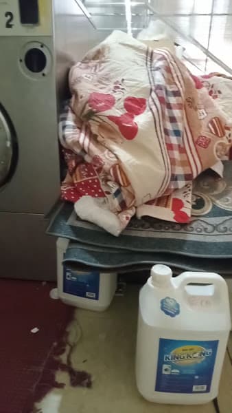Hình ảnh Giặt là Lưu - 4