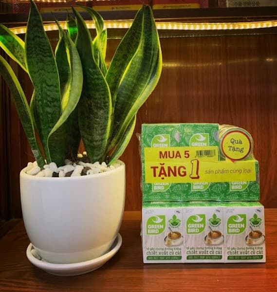 Hình ảnh Yến Sào Nutrinest Tây Nguyên - 5