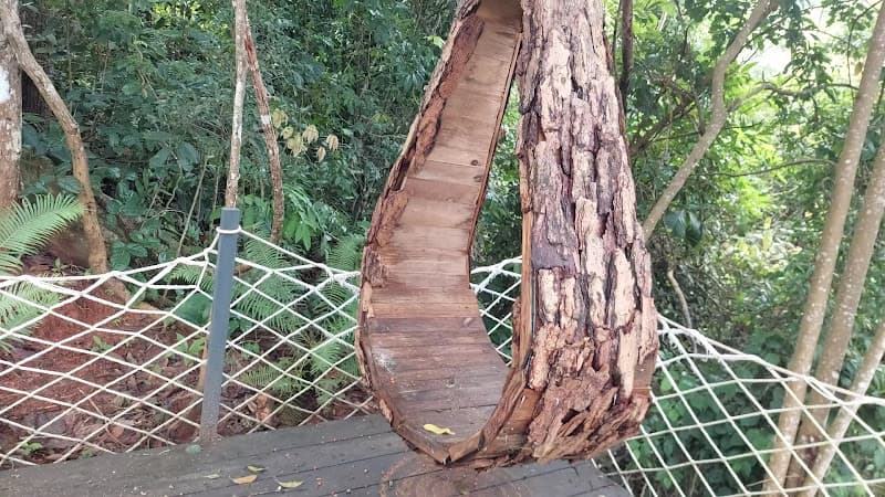 Hình ảnh Thác Liliang - 5