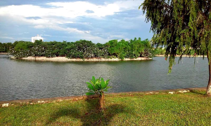 Hình ảnh 63 Nam thành - 4