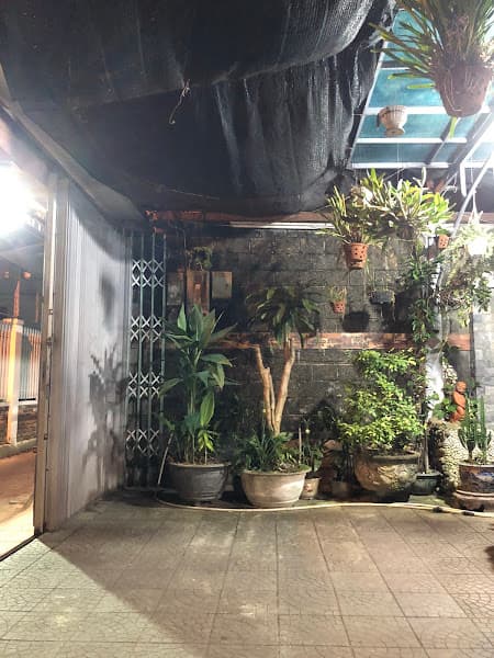 Hình ảnh Sinh Tố Nhật Lệ - 4