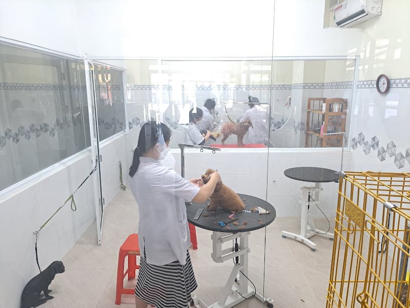 Hình ảnh Phòng Khám Thú Y Nutipet Vĩnh Long - 4