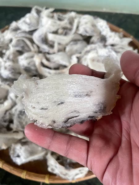 Hình ảnh YẾN SÀO THIÊN SƠN - 5