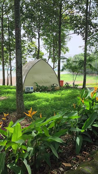 Hình ảnh WOW GLAMPING - CẮM TRẠI HỒ TRỊ AN - 3