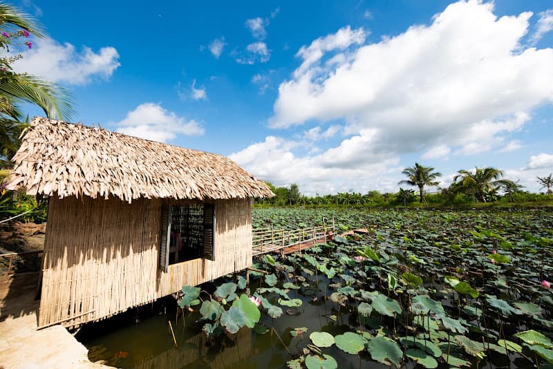 Bằng Lăng Homestay