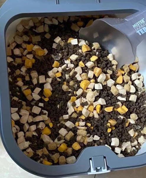 Hình ảnh Sandy Petshop Hue - 4