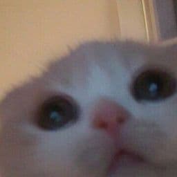 Hình ảnh Nhà hàng lẩu 39k - 5