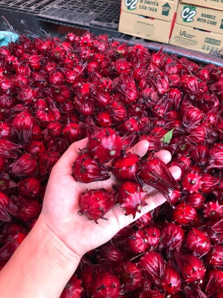 Hình ảnh Vũ Nguyệt Hoa Quả Thực Phẩm Giá Sỉ - 5