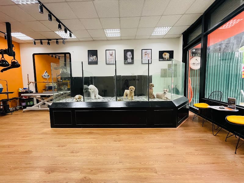 Hình ảnh Bonchon Pet Spa and Hotel - 3