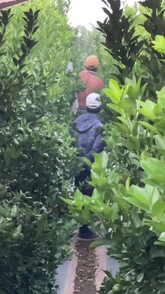 Hình ảnh Bún bò huế - 3