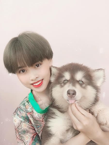 Hình ảnh Trại Chó Cảnh Alaska Trang Nhung - 2