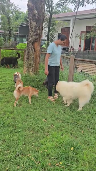 Hình ảnh Laputa Farm - 3