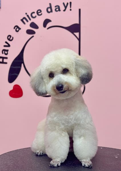 Hình ảnh FLUFFY PET SHOP - 4