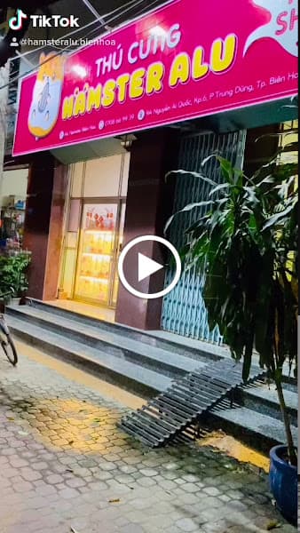 Hình ảnh Tiệm Thú Cưng ALU Biên Hoà - Shop Hamster Chó Mèo Biên Hoà - 3