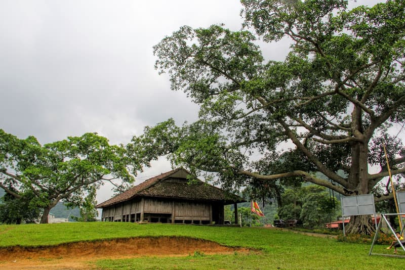 Hình ảnh Đình Nông Lục - 2