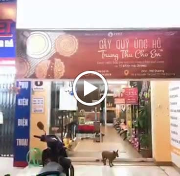 Hình ảnh Bệnh viện Thú y 2Vet Hải Dương - 7