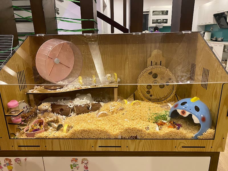 Ảnh bìa Home Pet's - Chuột Hamster Hải Phòng