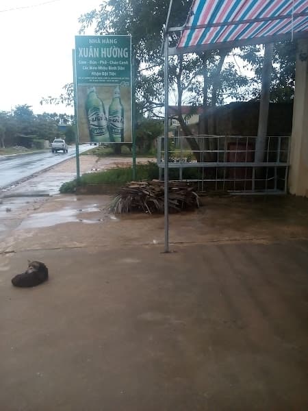 Hình ảnh Nha Hang Xuân Hương - 4