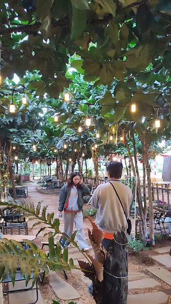Hình ảnh Cafe Phước Hỷ - Hàng thông trăm tuổi GL - 7