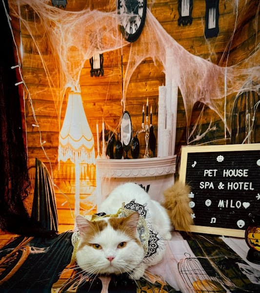 Hình ảnh Pet House - 7