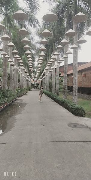 Hình ảnh Trại mèo Cần Thơ - Chescy House - 4