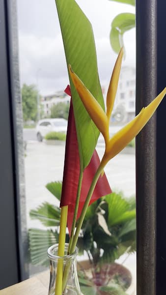 Hình ảnh Cộng Cà Phê - 4