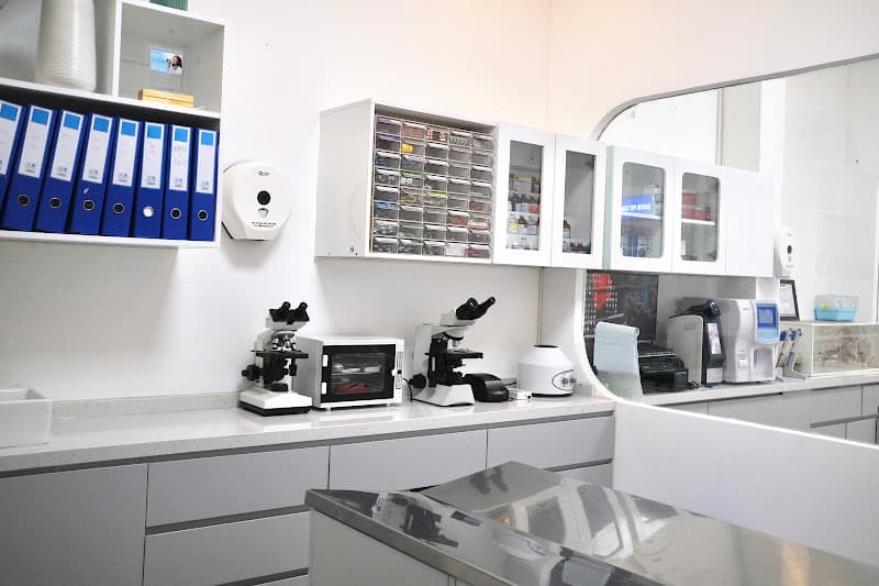 Hình ảnh Bệnh viện thú y Petshare 593 Kim Ngưu - 5