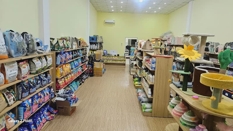 Hình ảnh Việt Spa Chăm Sóc Thú Cưng Tây Ninh - 6