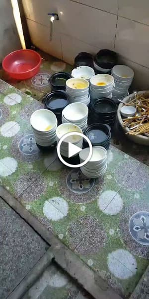 Hình ảnh Bánh canh cá lóc Hoàng khánh - 3