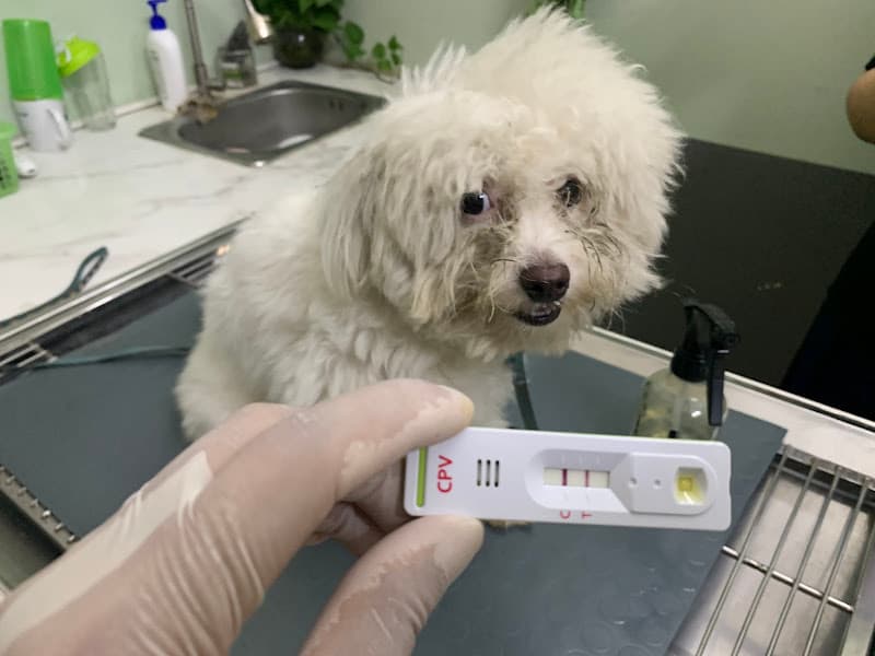 Hình ảnh Phòng khám Thú y Bắc Ninh - 2