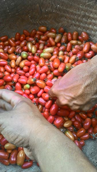 Đặc sản Lạng Sơn