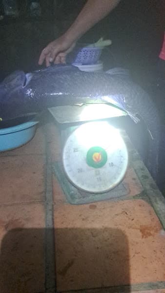 Hình ảnh Quán cà phê hồ câu hẻm 06 Nguyễn Thị Định phường thành nhất. Bmt - 2