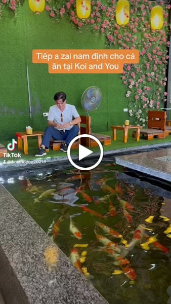 Hình ảnh KOI AND YOU - 6