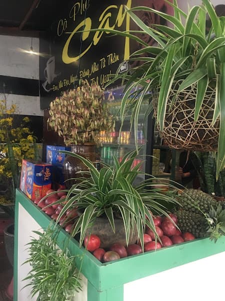 Hình ảnh Cafe Sắc Màu - 2