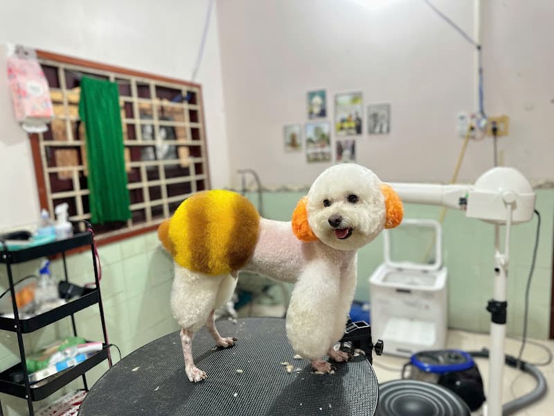 Hình ảnh Thú Y TigerVet - 4